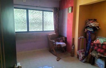 New Wonder Collection