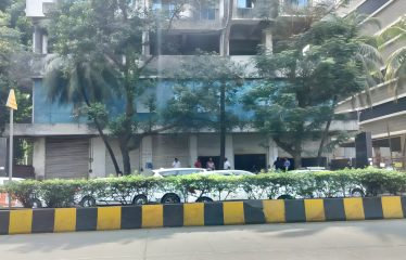 Zusak Exim Private limited