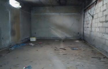 Zusak Exim Private limited