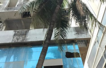 Zusak Exim Private limited