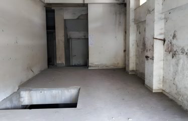 Zusak Exim Private limited