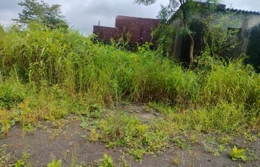 Shree Krishnal Ingots Bloshi India Pvt Ltd