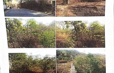 VIDEOCON INDUSTRIES LIMITED